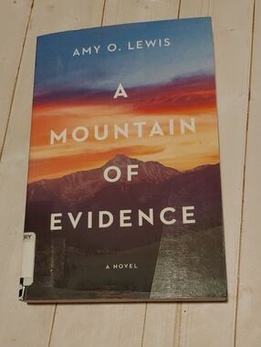 A Mountain Of Evidence Adult Novel Book By Amy O. Lewis Mystery 2021